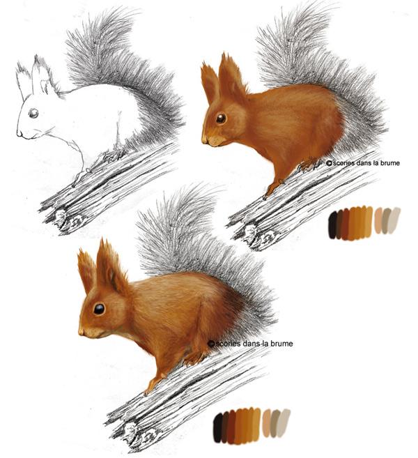 illustrations naturalistes