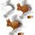 Illustrations naturalistes...