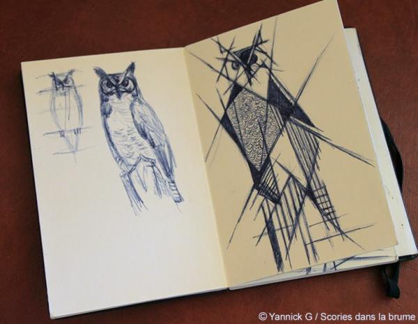 Hibou sketch