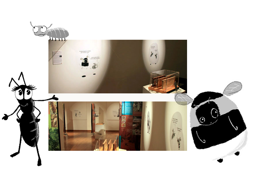 Exposition