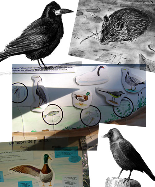 Illustrations supports pédagogiques