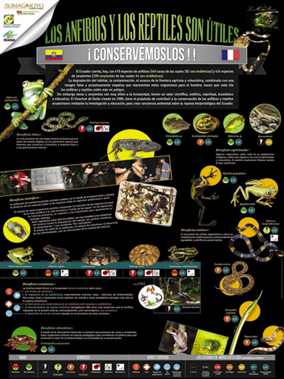 Chaîne alimentaire, poster pédagogique