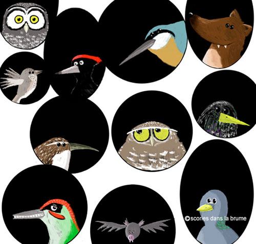 Illustrations d'un dispositif pédagogique